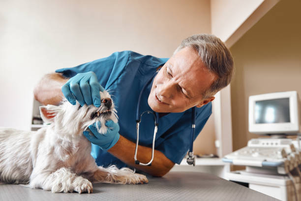 Best Emergency Tooth Extraction in Decordova, TX